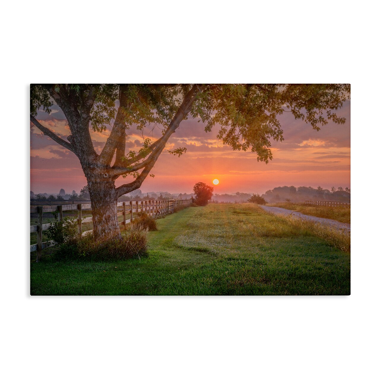 Stupell Industries Bold Sunrise in Countryside Canvas Wall Art Design by Marty Hulsebos